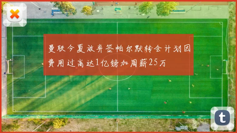 曼联今夏放弃签帕尔默转会计划因费用过高达1亿镑加周薪25万