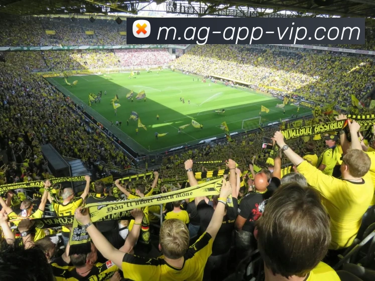 App Interface Preview